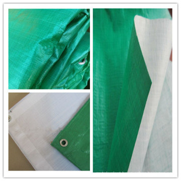 Green/White PE Tarps/China PE Tarpaulin Factory